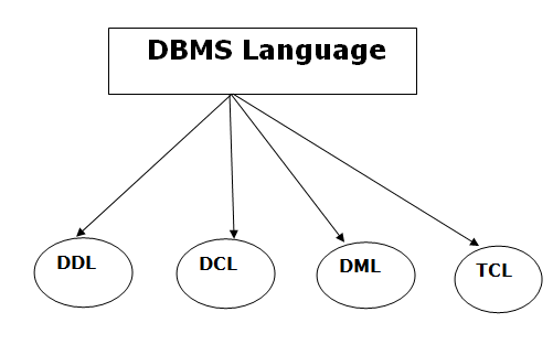 Database Languages and Interfaces in DBMS in hindi
