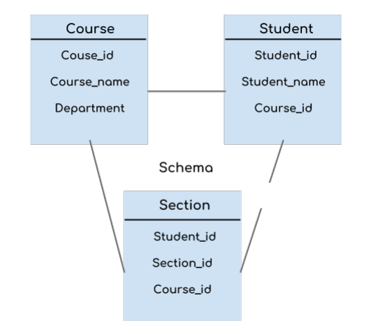Instance and Schema in DBMS in Hindi